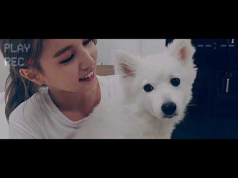 [FMV] JEI {FIESTAR} || FLASHLIGHT