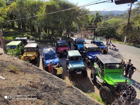 Trilha do verde 2020 melhores momentos