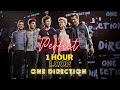 One Direction L Perfect 1 HOUR LOOP