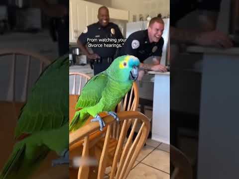 Parrot Just Ended Two Police Careers