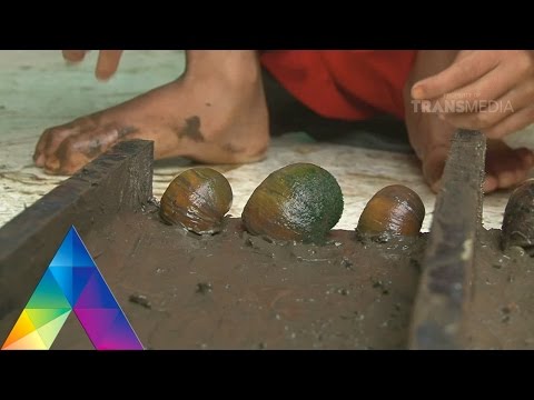 DUNIA BINATANG - HEWAN PENGHUNI SAWAH (13/4/16) 3-3