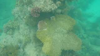 Great Barrier Reef