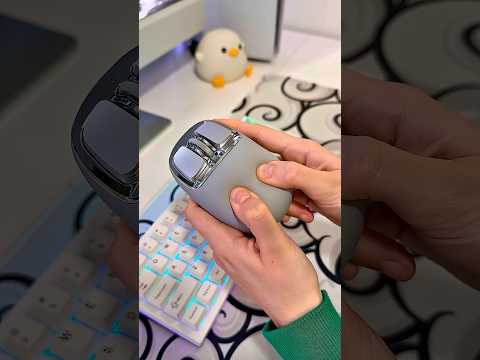 This Tiny Mouse Is a BEAST! 😮💥