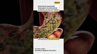 Download lagu The effect of food on alcohol absorption mp3 Download lagu The effect of food on alcohol absorption mp3