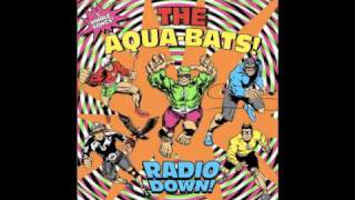 The Aquabats! - Best Day of My Life!