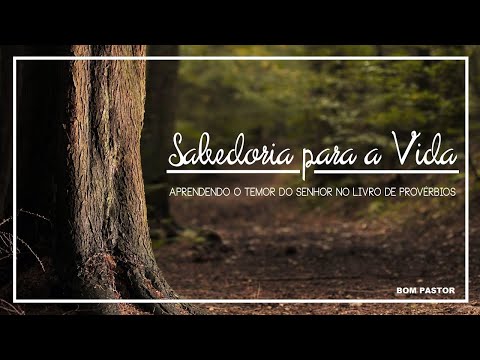 🥰SAIBA COMO ENCONTRAR O CAMINHO PARA SABEDORIA