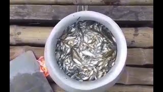Fisherman Fishing By Khara from River and Spot Selling to Customer. 1 Part of Fish Costs Only $0.60