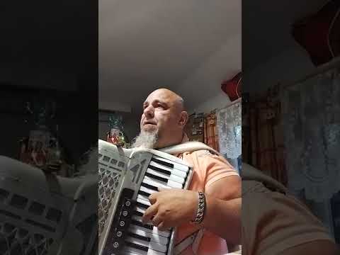 Letěli dva holubi- Akordeon