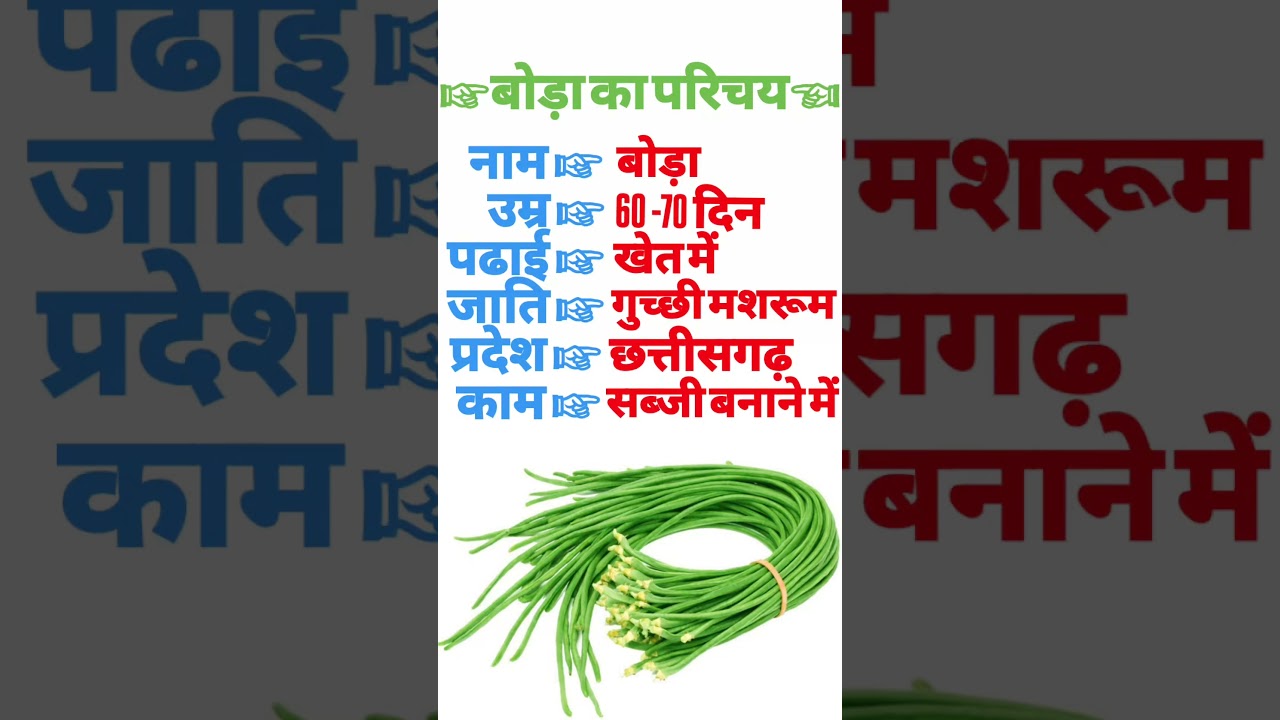 Boda ka Parichay #youtubeshorts #trendingshorts #shorts