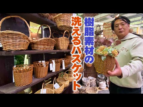 コスメア、ジュエリーバスケット 植物