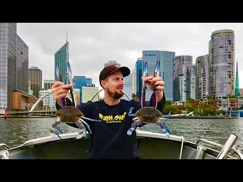 XL Swan River Crabs in the Perth CBD