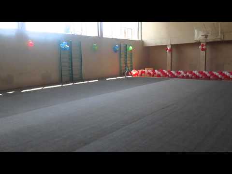 salome xucishvili.mxatvruli tanvarjishi.