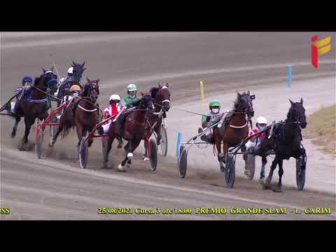 III Corsa del 25 Agosto 2021   3 Anni   Metri 1600   Gara Centrale