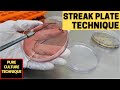 Streak Plate Technique for The Isolation of Pure Culture_A Complete Procedure (Microbiology)