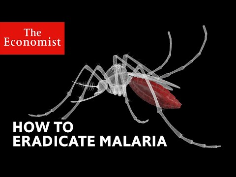 How to defeat malaria