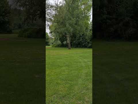 Oh, #Okriftel am #main