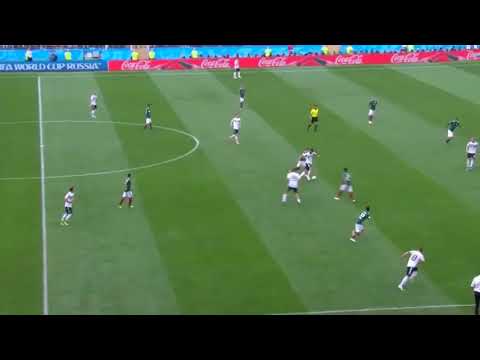 Golazo del Chucky vs Alemania (perro bermudez)