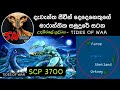 ගැඹුරු සාගර පතුලේ සැගව සිටි අත්භූත අත�