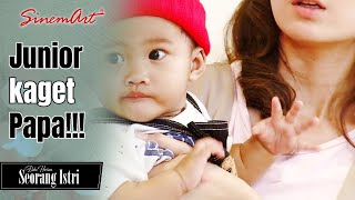 Download lagu Copot..Copot...Copot!! Junior kaget Papa Dewa🤭❤️ | BUKU HARIAN SEORANG ISTRI - 19 Mei 22 mp3 Download lagu Copot..Copot...Copot!! Junior kaget Papa Dewa🤭❤️ | BUKU HARIAN SEORANG ISTRI - 19 Mei 22 mp3