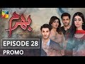 Bharam Episode #28 Promo HUM TV Drama