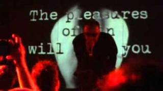 Suicide Commando-The pleasures of sin  (live in Budapest,2011.03.24.)