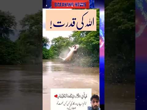 surah yasin rahman yaseen rehmanlonline quran tilawat juma naat ishq|status