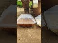 Miniature seed soaking Greenhouse. For efficient & Quick germination