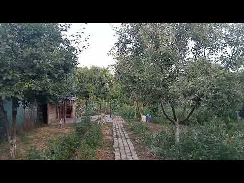 IR 1962 Mangalia Nord lași