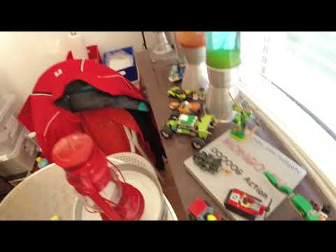 MongoTV_10143 - LIDL Haul 9.50 Kroner - RUGBRØD