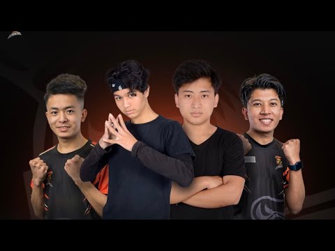 Solo 8 kills in tournament || Content?