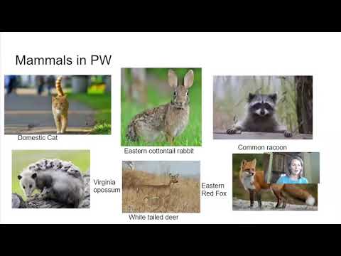 Citizen Science & Global Biodiversity