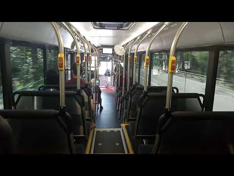 Forest Coach Lines - 8063 - Volvo B8RLE/Volgren Optimus[Terrey Hills](270 - Terrey Hills)
