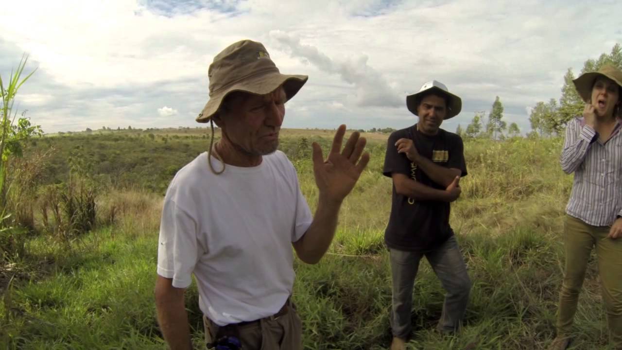 Ernst Götsch - Já o nosso computador, menos que ferro velho...