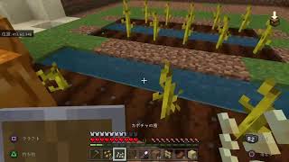 マイクラ　ミッドナイト05