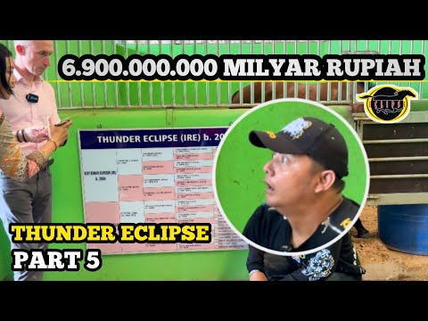 #Part 5 THUNDER ECLIPSE "" Pejantan Tangguh Keturunan Kuda Pacu Juara Dunia SECRETARIAT