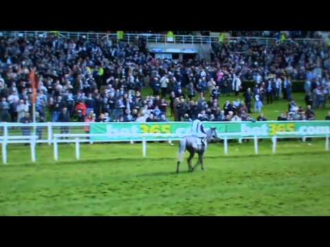 Bet 365 Gold Cup, Quentin Collonges Sandown Park