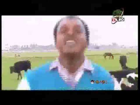 Alemayehu W Mariam - Saawwan [Oromo Music]