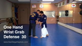 Hapkido One Hand Wrist Grab Defense 30