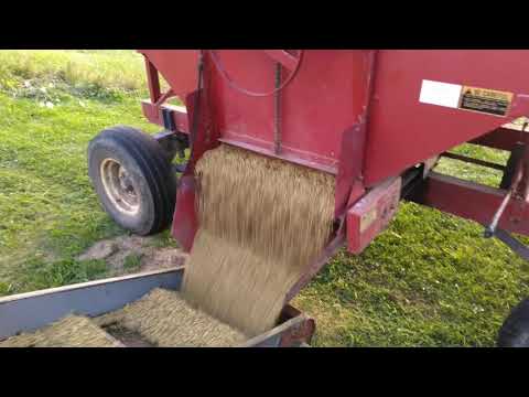 Unloading oats(2020)