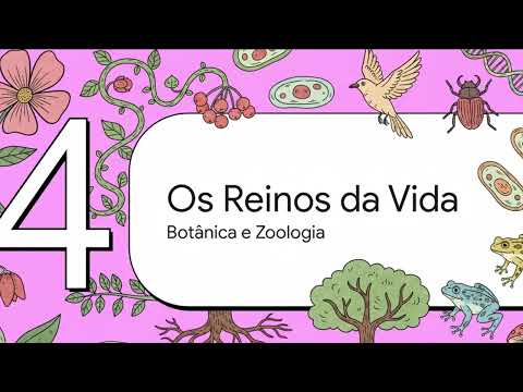 Biologia 2º Ano Ensino Médio: Resumo do Conteúdo para Provas Ensino Médio - ENEM