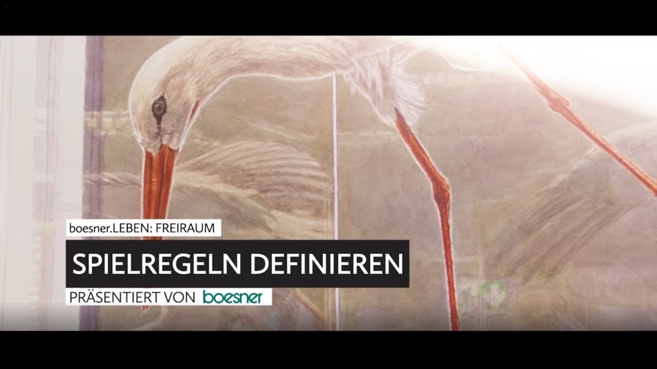 Youtube-Video