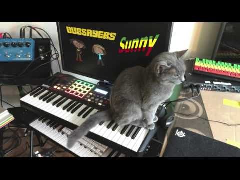 dubsayers - sunny