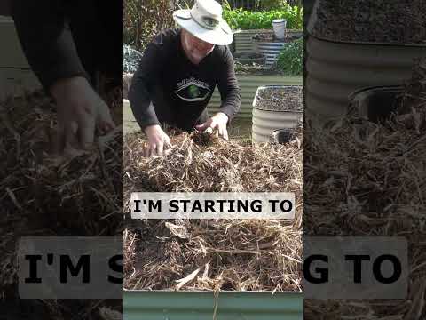 No SOIL NEEDED Garden Bed Fill