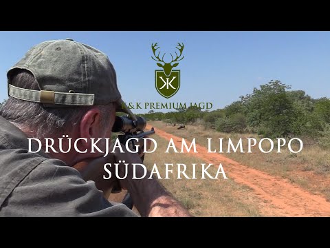Drückjagd in der Limpopo Provinz - Jagd in Südafrika