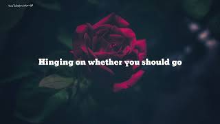 S. Carey - Rose Petals (Lyrics)