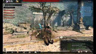 Vindictus Gameplay - Burly Brawl