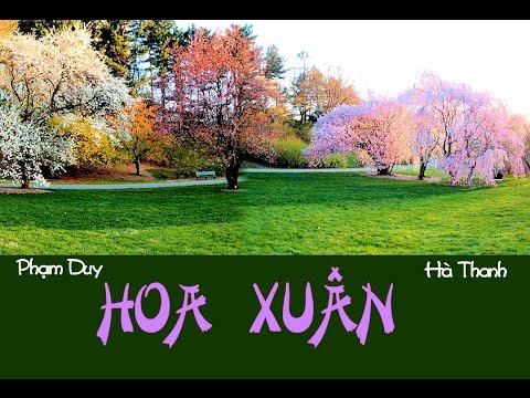 HÀ THANH - Hoa xuân - PHẠM DUY