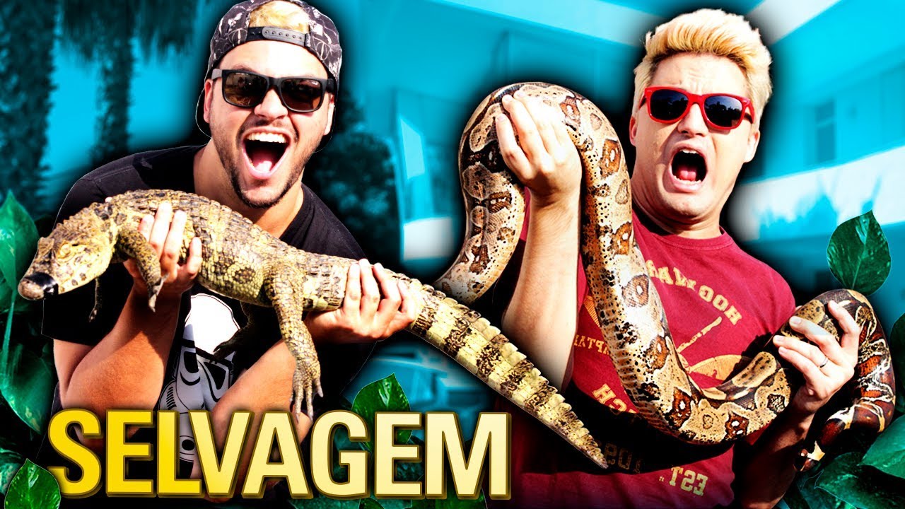 PEGAMOS UM JACARÉ SELVAGEM E UMA COBRA GIGANTE!