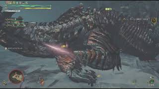 【モンスターハンターワイルズ】☆１０　ジン・ダハド