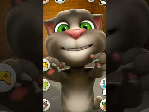 😮खिजरी cat bali video😂#viralvideo #short